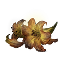 落葉花のアイコン